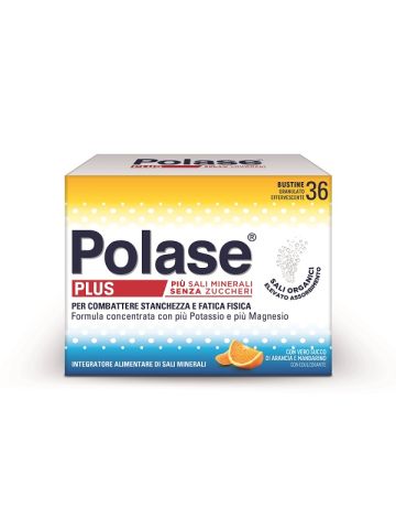 POLASE_PLUS_36_BUSTINE